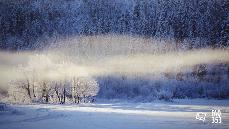 FAQ 353 Dieu parle - Paysage d'hiver avec givres et brumes, belles lumières